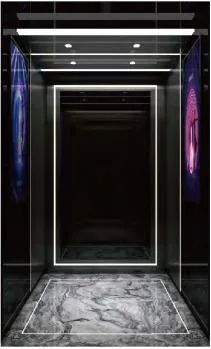 Ascenseur facultatif de passager de la voiture 630kg de salle de machine