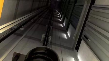 Ascenseur de marchandises d'ascenseur de fret d'ascenseur de voiture sûr d'ascenseur de Dsk avec l'ascenseur de cargaison de salle de machine