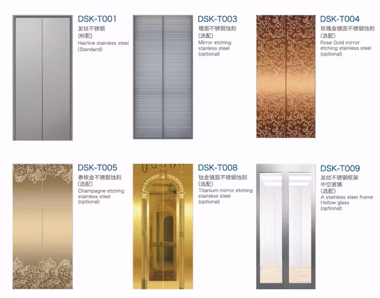 Desenk Home Ascenseur Ascenseur avec machine sans local