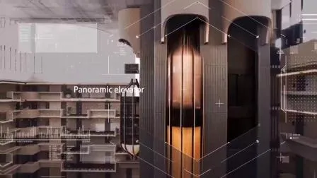 Ascenseur d'hôpital d'ascenseur de passager de fauteuil roulant de civière de lit médical de prix de la Chine