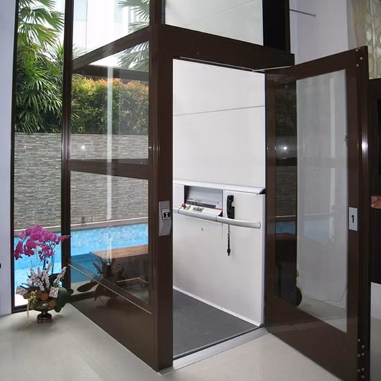 Plate-forme élévatrice verticale pour maison de personnes âgées, hydraulique, pour handicap, maison, villa, fauteuil roulant, passager résidentiel, observation, verre, ascenseur touristique
